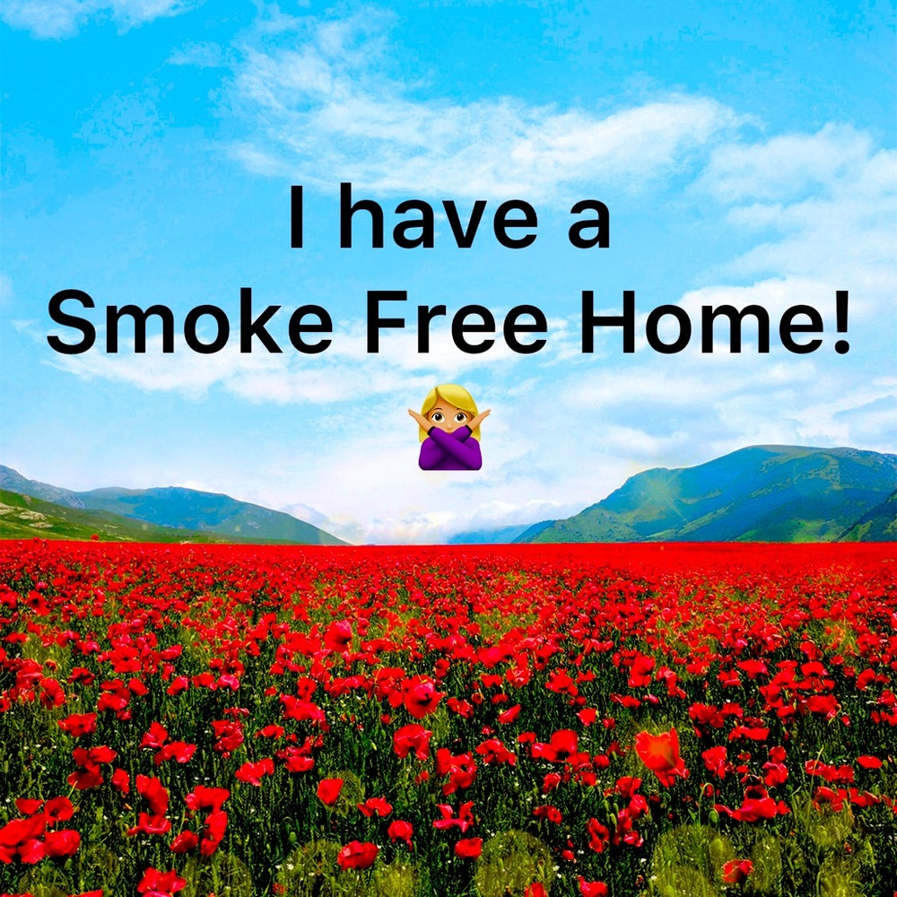 Shop my smoke free closet,